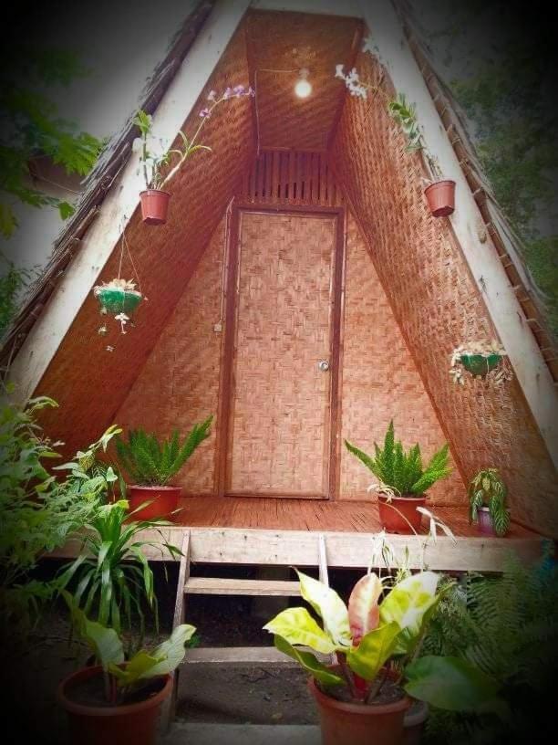 Lodge Shukran Apartelle *